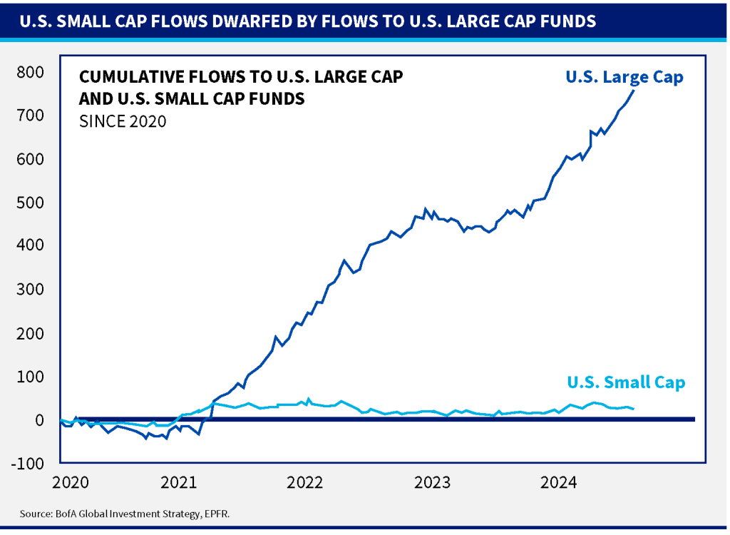 investors only seem to want large-cap stocks
