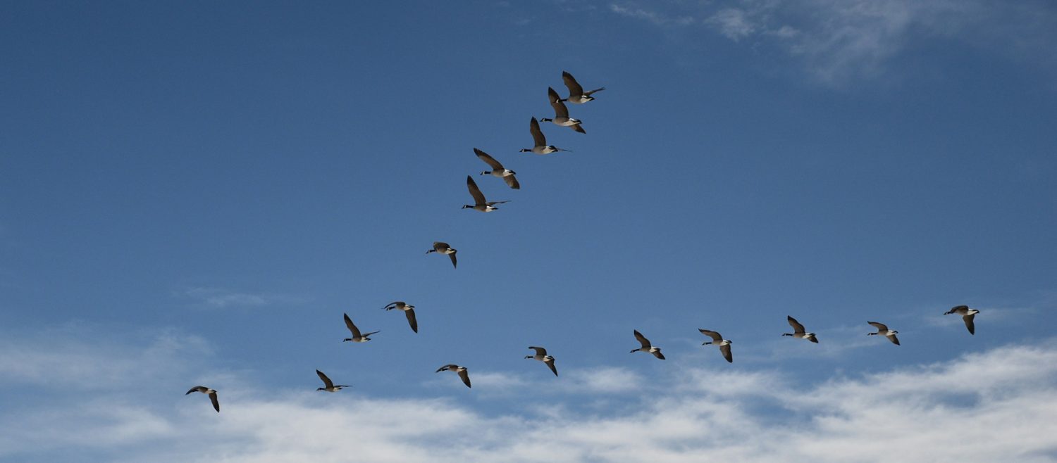 Year-end reflection 2025: Aligning portfolios with purpose - Frontier ...